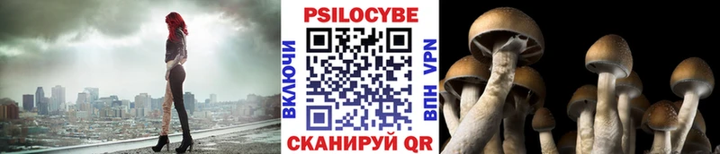 Псилоцибиновые грибы прущие грибы Богучар